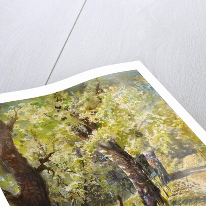 Spring at Dogtown by LaVere Hutchings