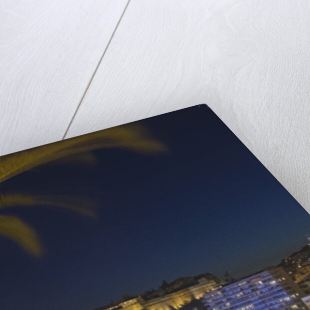 Skyline of Monte Carlo at Night by Anonymous