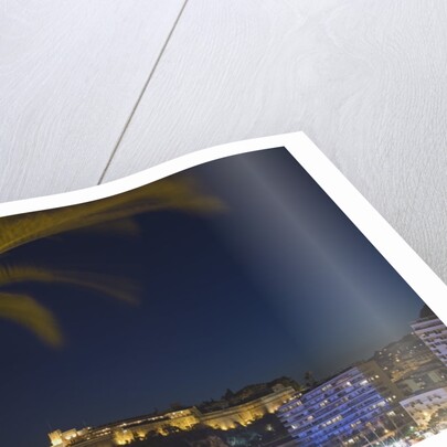 Skyline of Monte Carlo at Night by Anonymous