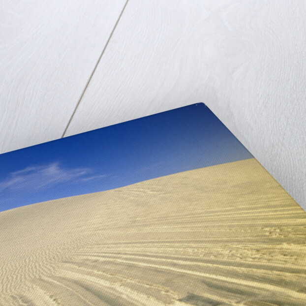 Wind Made Patterns on White Gypsum Dune by Anonymous