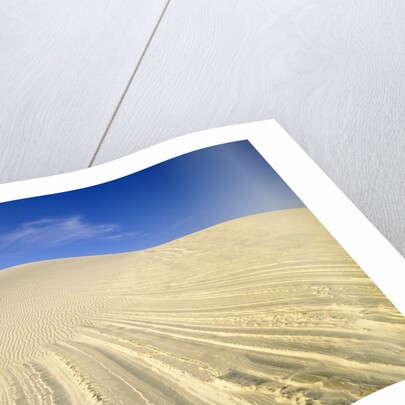 Wind Made Patterns on White Gypsum Dune by Anonymous
