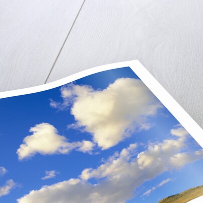 Cumulus Clouds Floating Above Prairie in the Fall by Anonymous