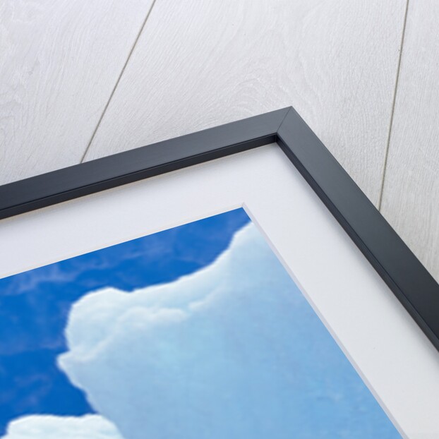 Blue Icebergs by Anonymous
