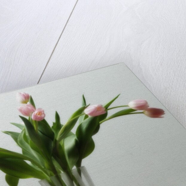 Flower Arrangement by Anonymous