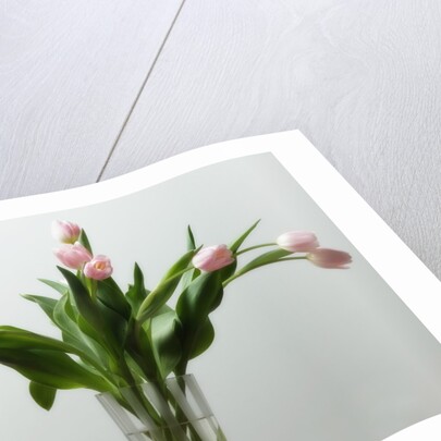 Flower Arrangement by Anonymous