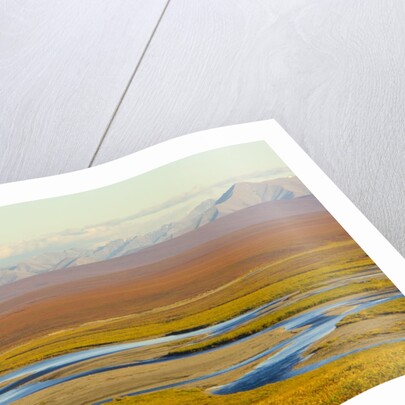 Mountains and Winding River in Tundra Valley by Anonymous