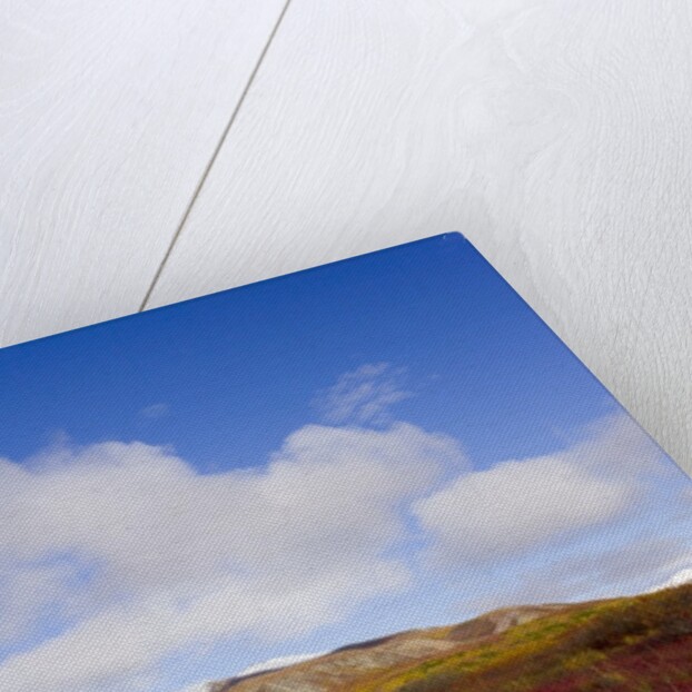 Mountain Range in Tundra Landscape by Anonymous