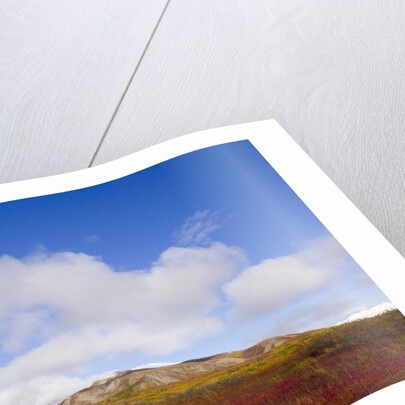 Mountain Range in Tundra Landscape by Anonymous