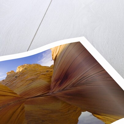 Rainwater Pool Among Sandstone Buttes by Anonymous