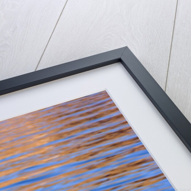 Reflections in Lake Powell at Sunrise by Anonymous