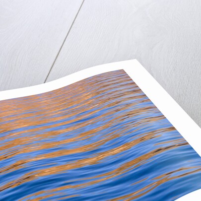 Reflections in Lake Powell at Sunrise by Anonymous