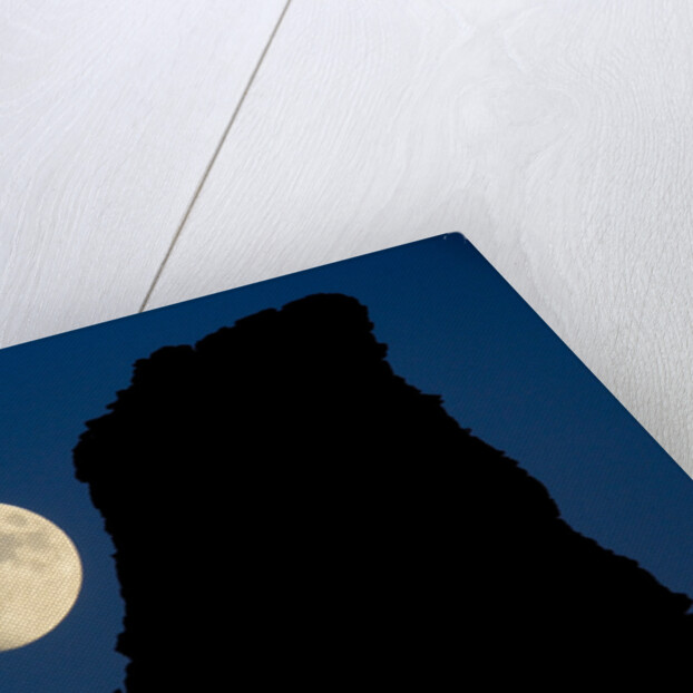 Full Moon Beside Rock by Anonymous