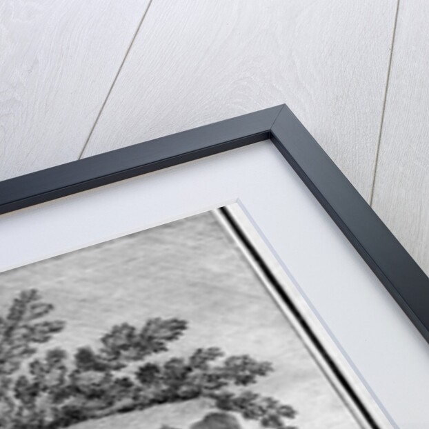 Illustration of Alcibiades Defending Socrates in a Fight by Anonymous