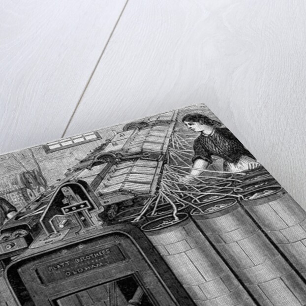 Illustration of the Manufacture of Cotton by Anonymous