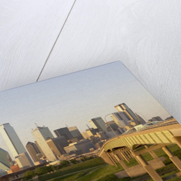 Dallas Skyline by Anonymous