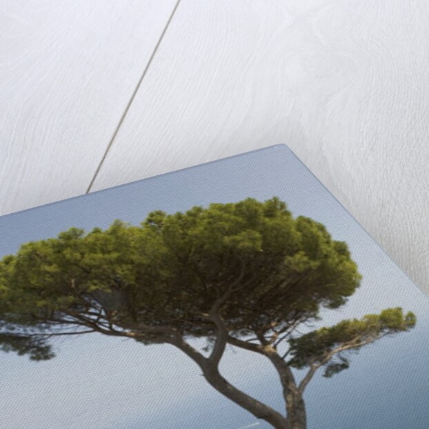 Church in Ravello by Anonymous