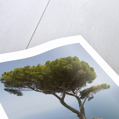 Church in Ravello by Anonymous