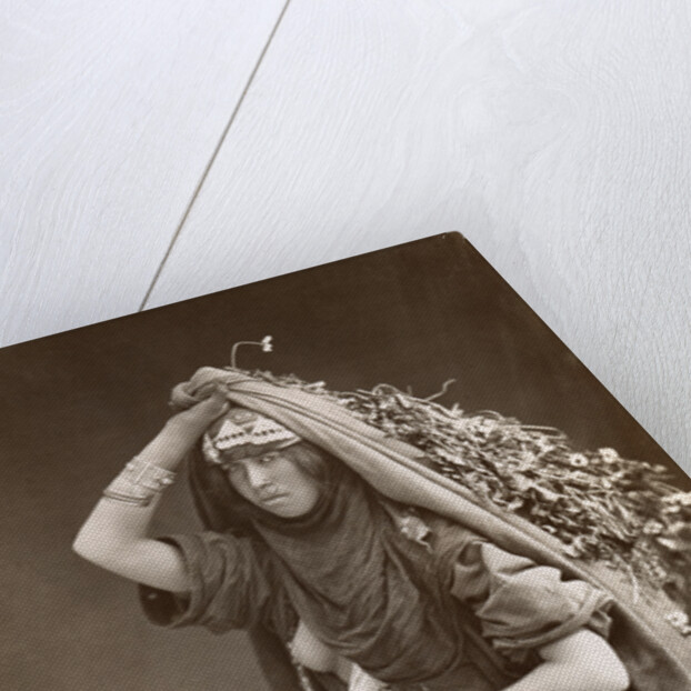 Middle Eastern Woman by Anonymous