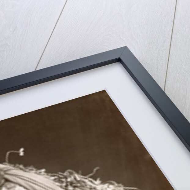 Middle Eastern Woman by Anonymous