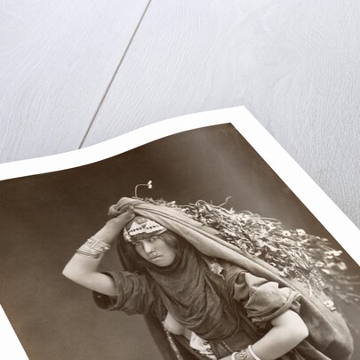 Middle Eastern Woman by Anonymous