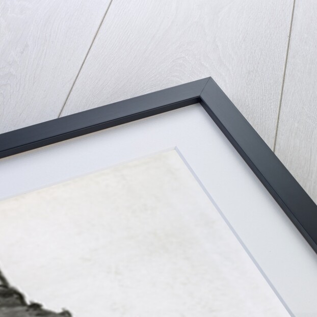 Church of Our Lady, Dresden by Anonymous