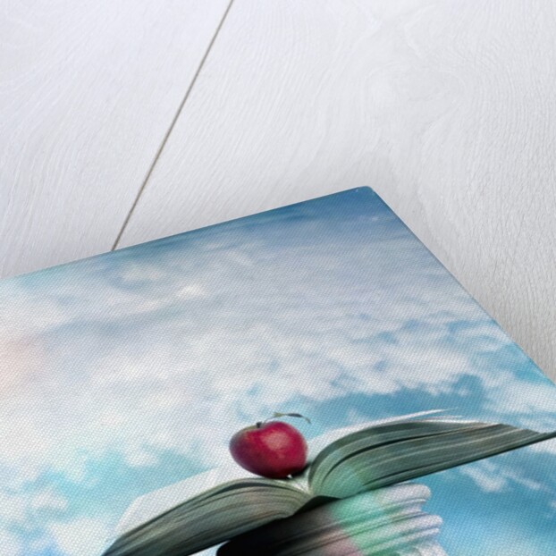 Apple and Open Book on Pedestal by Anonymous