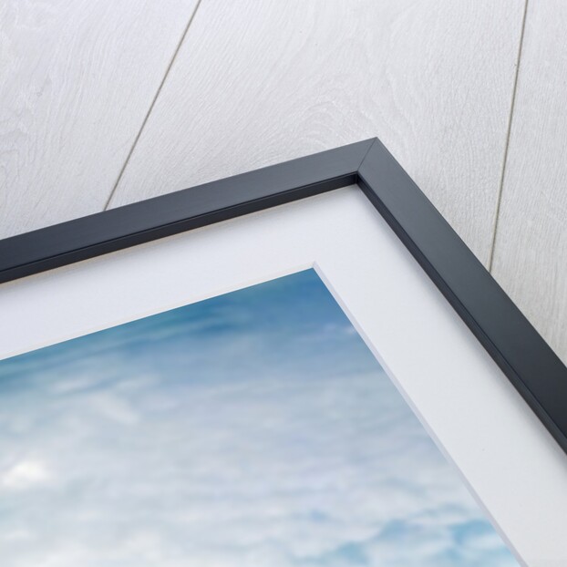 Apple and Open Book on Pedestal by Anonymous