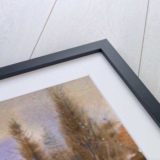 Dusk by LaVere Hutchings