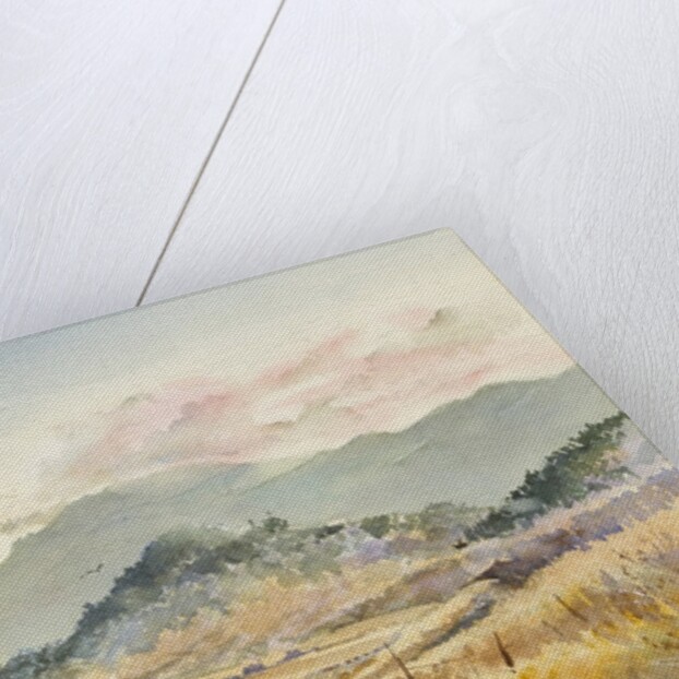 Jacksonville Road by LaVere Hutchings