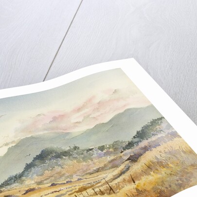 Jacksonville Road by LaVere Hutchings