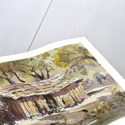 Mark Twain's Cabin by LaVere Hutchings