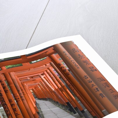 Red Arches Along Path to Nezu Shrine by Anonymous