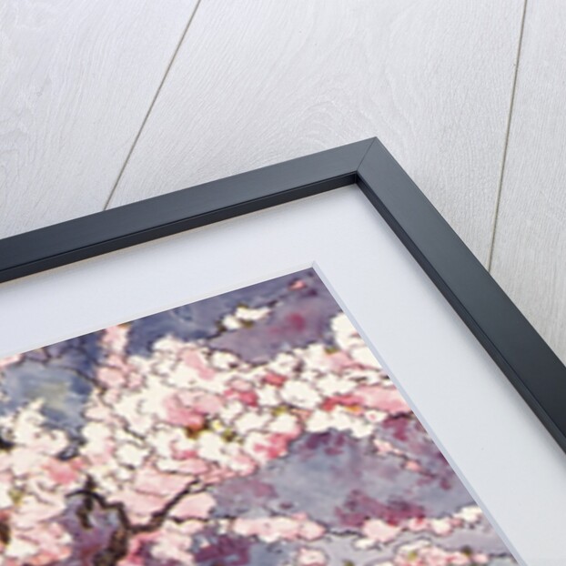 Baa, Baa! Black Sheep Illustration by Dorothy Wheeler