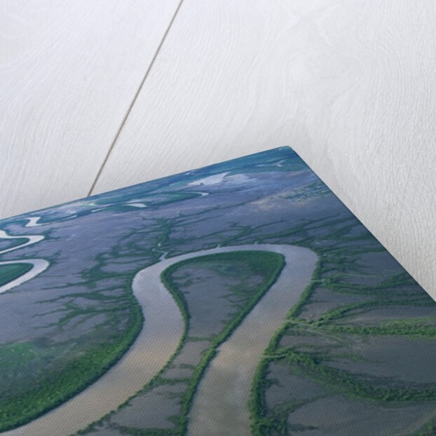 Meandering river in the Kimberley Region of Western Australia, aerial view by Anonymous