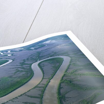 Meandering river in the Kimberley Region of Western Australia, aerial view by Anonymous