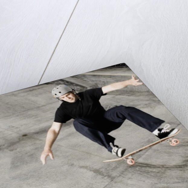 Skateboarder Performing Tricks by Anonymous