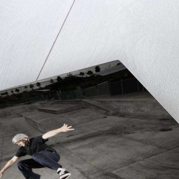 Skateboarder Performing Tricks by Anonymous