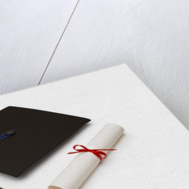 Mortarboard and Diploma by Anonymous