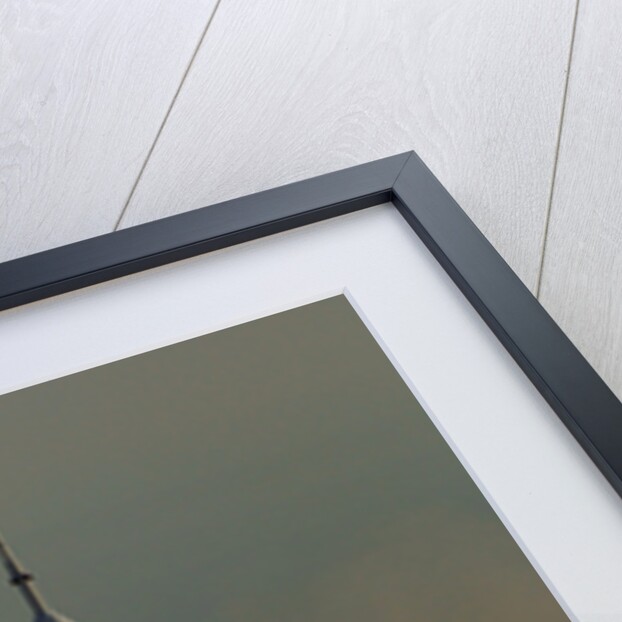 Soyuz Spacecraft Lifting Off by Anonymous