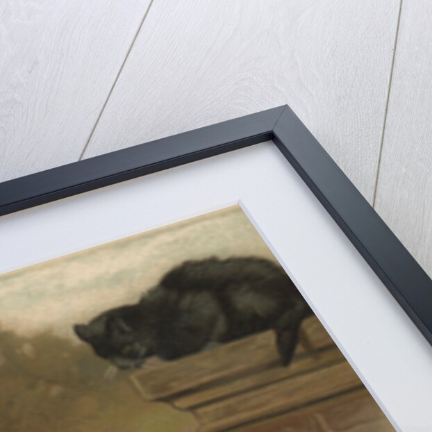 Illustration of a Dog and Cat by William Weekes