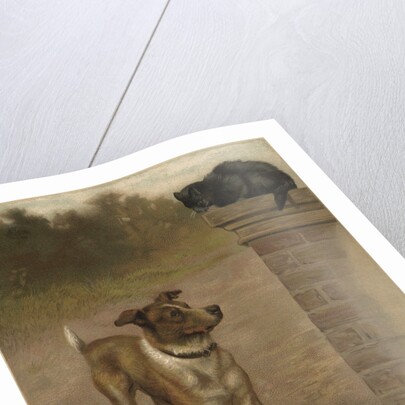 Illustration of a Dog and Cat by William Weekes