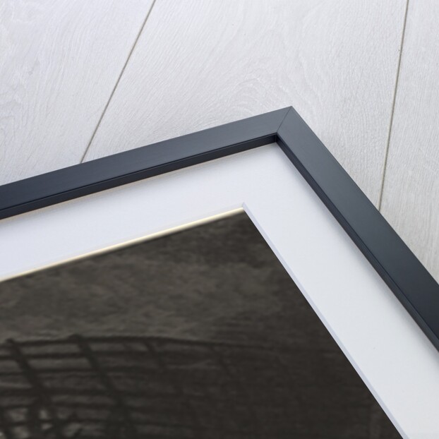 All Dwellings Else Flood Overwhelmed by Gustave Dore