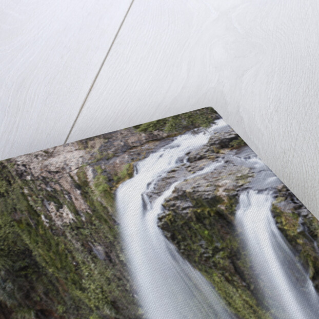 Whangerei Falls in Rainforest by Anonymous
