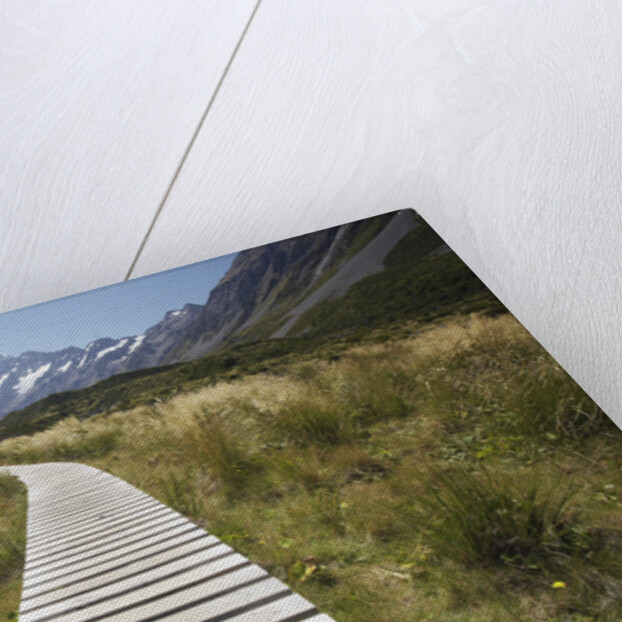 Wooden Path through Mount Cook National Park by Anonymous