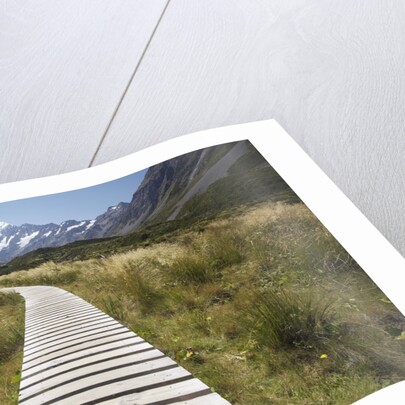 Wooden Path through Mount Cook National Park by Anonymous
