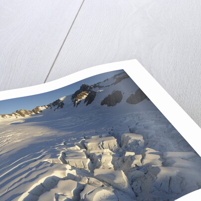Fox Glacier by Anonymous