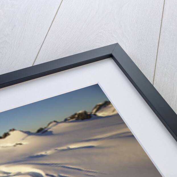 Fox Glacier by Anonymous