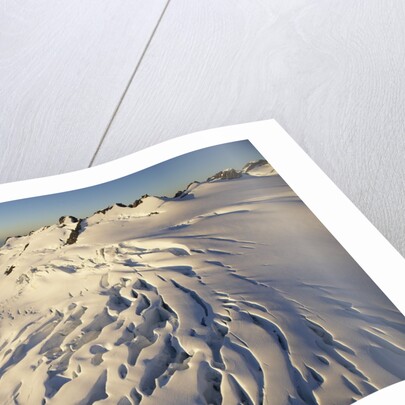 Fox Glacier by Anonymous