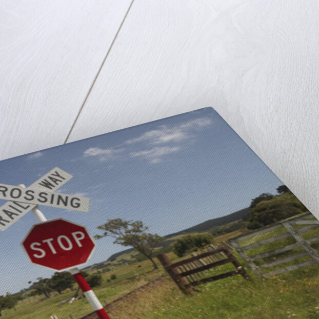 Railroad Crossing by Anonymous
