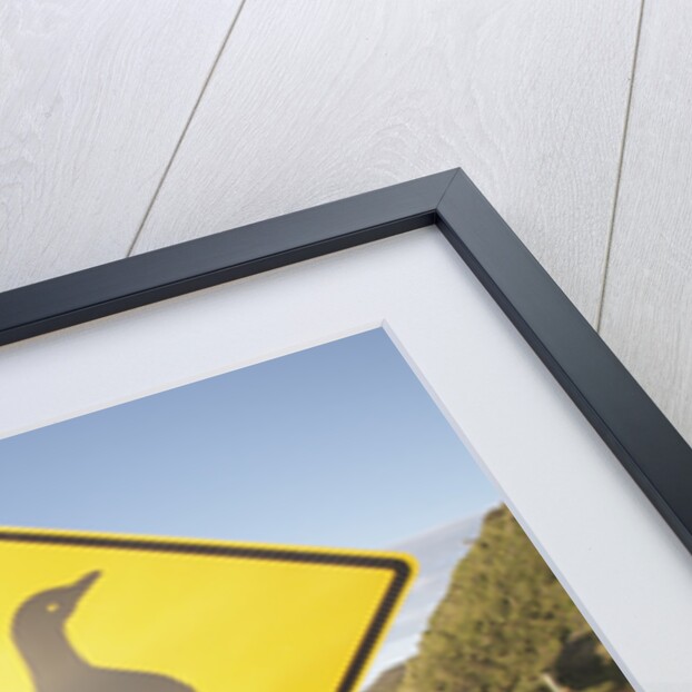 Penguin Crossing Sign by Anonymous